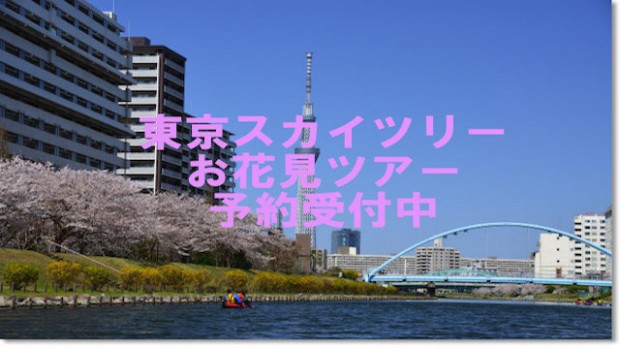 【お花見】さくらを見ながら東京スカイツリーカヌー体験ツアー @ 大島小松川公園駐車場 | 江戸川区 | 東京都 | 日本