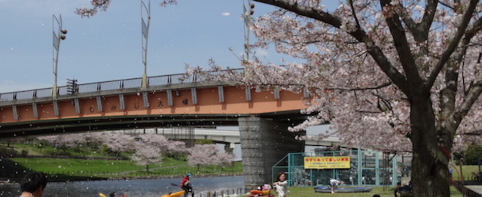 skytree hanami canoe6