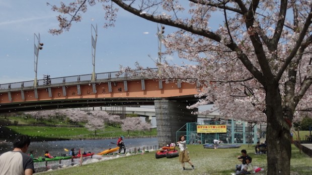 skytree hanami canoe6