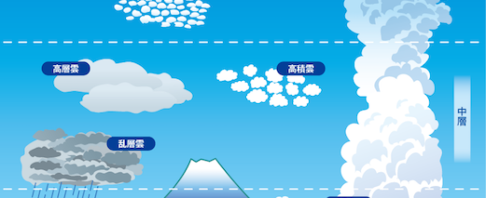 fig_kumo