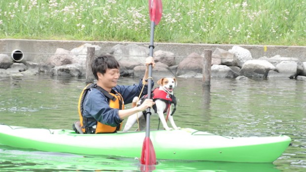 2017.5.7 dog canoe27