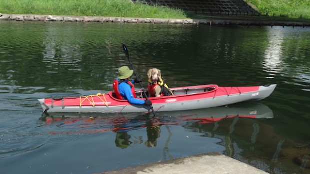 2017.7.8 dog canoe30