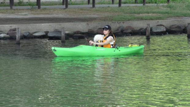 2017.7.8 dog canoe43