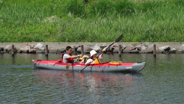 2017.7.8 dog canoe49