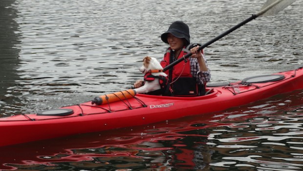 2017.9.3 dog canoe181